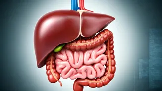 Tea Habits Harming Your Gut and Liver?