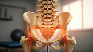 Glute Bridges Help Ease Back Pain After 50