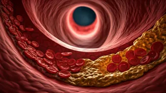 Avoid These 10 Artery-Clogging Foods