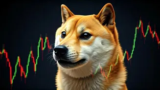 Dogecoin Price Swings: What's Happening Now?