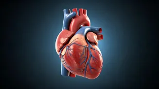 Lower Your Blood Pressure with Simple Changes