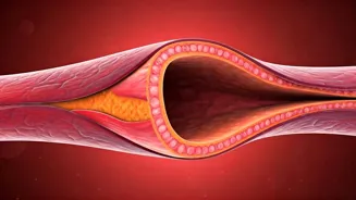 Eat These 5 Foods For Healthy Blood Vessels