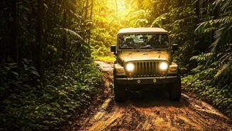 Plan Your Jungle Safari Trip With These Tips