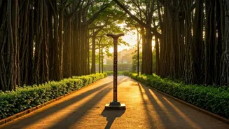 Walking 4 Miles Daily Keeps 100-Year-Old Fit