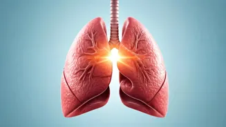 Calm Down Now: Breathe For Instant Focus