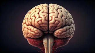 Is it Aging or Dementia Causing Memory Loss?