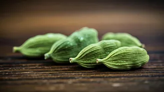 Cardamom Leaves: What are the Health Benefits?