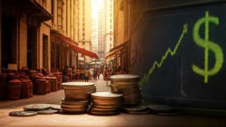 How to handle the rupee's fall against dollar?