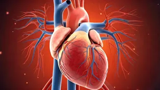 Heart Risks: It's Not Always What You Think