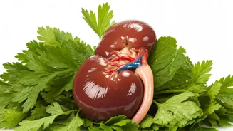 Protect Your Kidneys: Natural Detox Methods