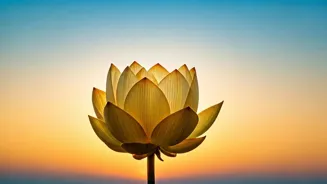 Anxious? Krishna's Wisdom Could Offer Relief