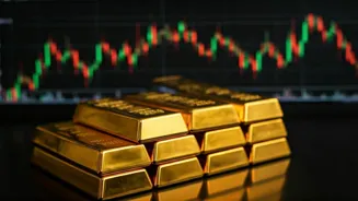 NSE Top Gainers: Market Rises Revealed