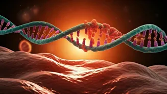 Genes Impact Obesity Risk: Study Unpacks It