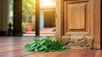 Keep Termites Away From Your Indian Home