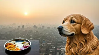 India Faces Health Issues: Dogs, Pollution, Fasts