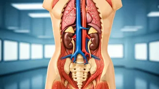 Back Pain May Signal Heart Or Kidney Problems