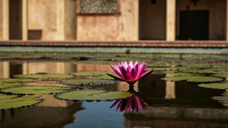Heal Your Heart: Find Peace After a Breakup