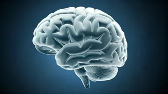 Brain Fog in Your 40s: Spot the Signs!