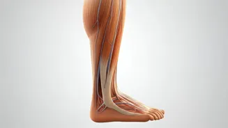 Leg Pain After 40? Find Relief Now!