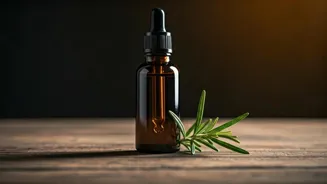Rosemary Serum Can Boost Hair Growth At Home.