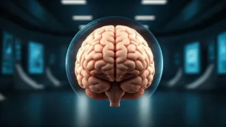 Sleep Is Key: Prioritize Rest For Brain Health