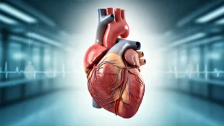 Boost Heart Health in 90 Days: 5 Easy Tips
