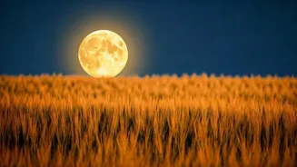 India to Witness Harvest Moon in 2025