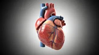 Heart Health: Daily Choices for a Stronger You