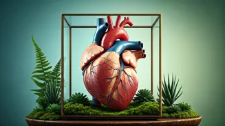 Protect Your Heart With These Daily Habits