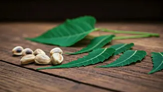 Banish Head Lice Naturally With These Remedies