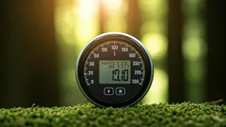 Walking Can Help You Lose Fat: Expert Hacks