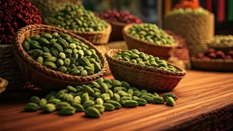 Cardamom Offers 10 Health Benefits for Indians