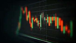 Nifty 50: Key Levels and Market Insights