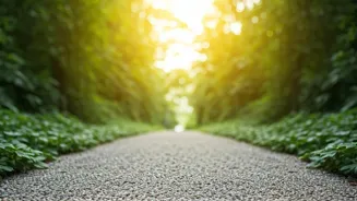 Walk Towards Wellness For A Leaner You