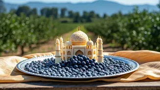 Blueberries' Superfood Journey in India!