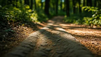 Walk More, Sit Less: Be Healthier Today