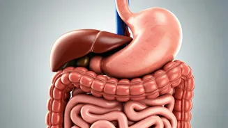 Beat Bloating and Gas: 7 Science-Backed Ways