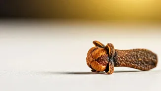 Clove Can Boost Your Heart Health Naturally