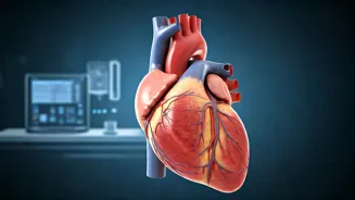 Women Can Improve Heart Health With These Tips
