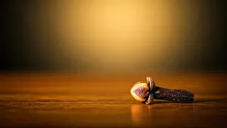 Clove Can Help Heart Health and Cholesterol