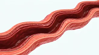 Clean Arteries Naturally With These 5 Methods