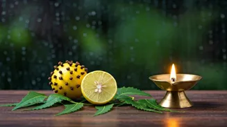 Monsoon Mosquitoes? Easy Home Remedies Help.