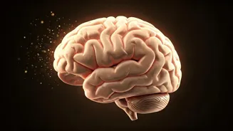 Brain Fog: What Are The Causes And Solutions?