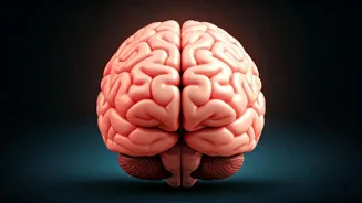 Build Emotional Wellbeing With These Habits