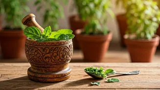 Tulsi: Health and Wellness Benefits Explored
