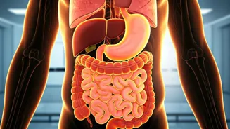 Weight Loss Without Trying: What To Consider?