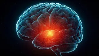 What Makes a Genius? Key Traits Revealed