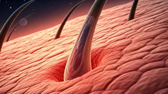 Can Cholesterol Help Regrow Lost Hair?