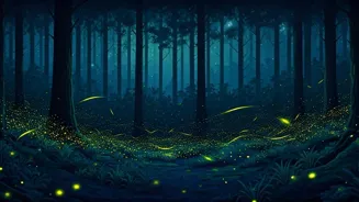 Explore Amazing Global Nighttime Activities