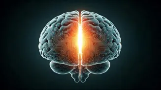 Are You Truly Smart? Look For These Signs.
